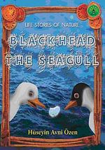 Black Head the Seagull