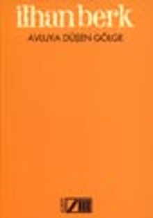 Avluya Düşen Gölge