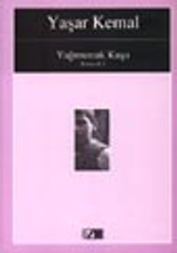 Yağmurcuk Kuşu (Kimsecik1)