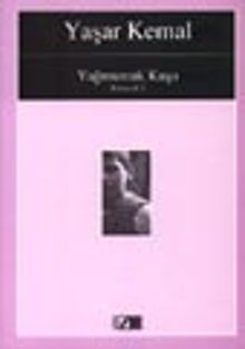 Yağmurcuk Kuşu (Kimsecik1)