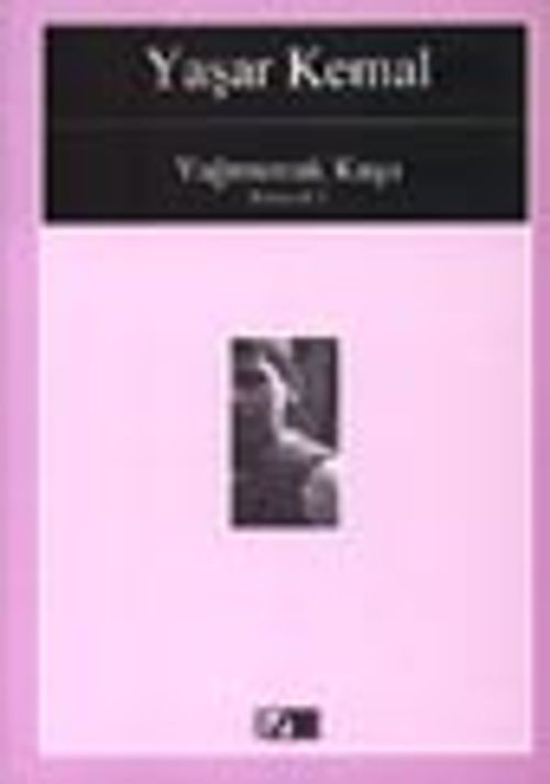 Yağmurcuk Kuşu (Kimsecik1)