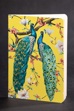 Akıl Defteri - Dokun ve Hisset Serisi - Tavus Kuşları