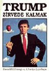 Zirvede Kalmak