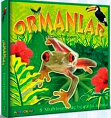 Ormanlar (3 Boyutlu)