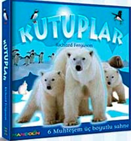 Kutuplar (3 Boyutlu)