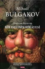 Bir Delinin Hikayesi