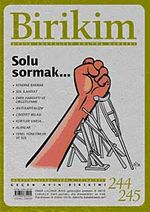 Birikim / Sayı:244-245  Yıl: 2009 / Aylık Sosyalist Kültür Dergisi