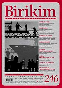 Birikim / Sayı:246  Yıl: 2009 / Aylık Sosyalist Kültür Dergisi