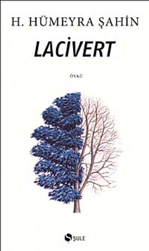 Lacivert