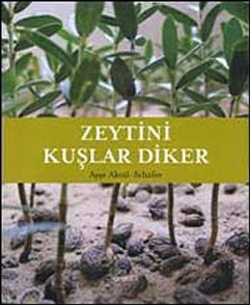 Zeytini Kuşlar Diker