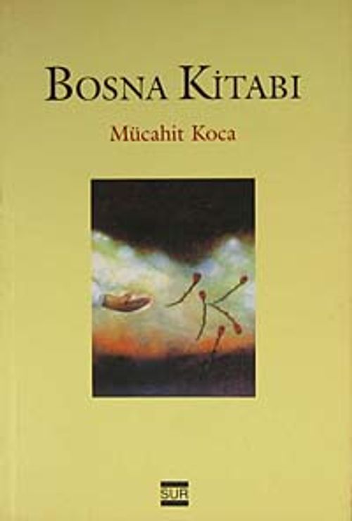 Bosna Kitabı