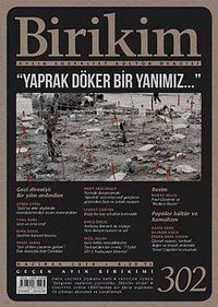 Birikim / Sayı:302 Yıl:2014 / Aylık Sosyalist Kültür Dergisi