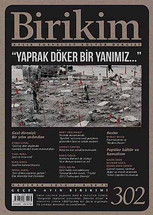 Birikim / Sayı:302 Yıl:2014 / Aylık Sosyalist Kültür Dergisi