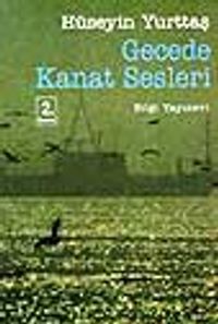 Gecede Kanat Sesleri