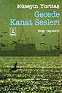 Gecede Kanat Sesleri