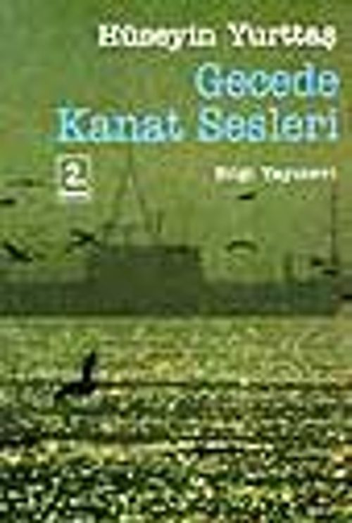 Gecede Kanat Sesleri