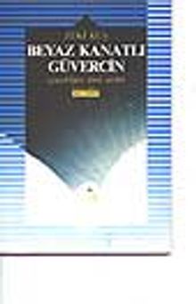 Beyaz Kanatlı Güvercin