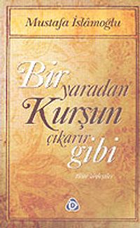 Bir Yaradan Kurşun Çıkarır Gibi / Tüm Söyleşiler