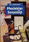 Meslekler ve Sosyoloji