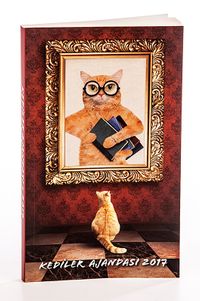 2017 Kediler Ajandası (Büyük Boy)