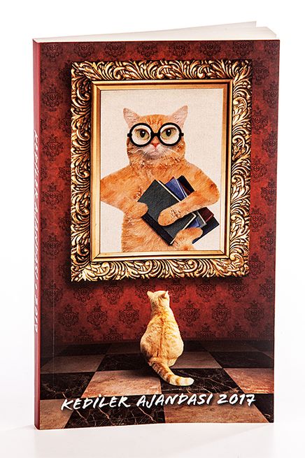 2017 Kediler Ajandası (Büyük Boy)