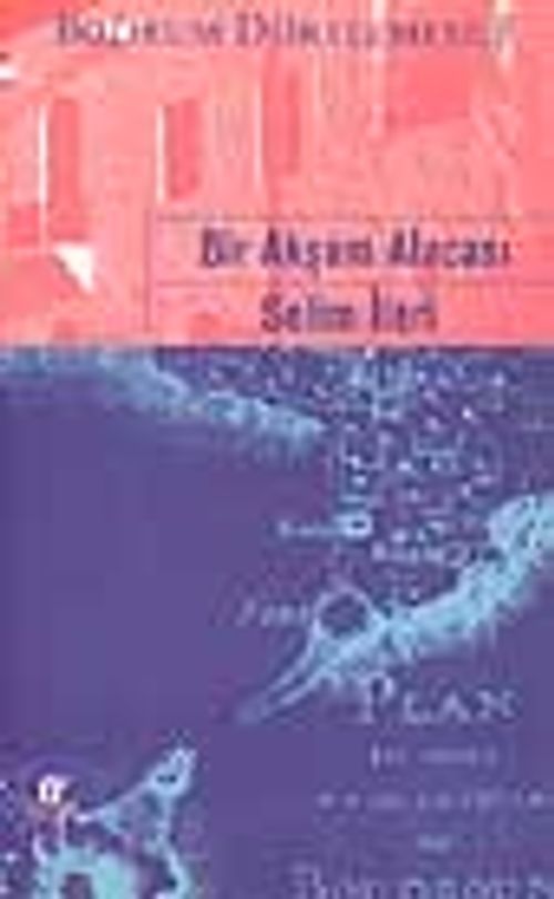 Bir Akşam Alacası