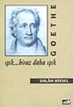 Goethe: Işık... Biraz  Daha Işık