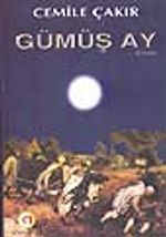Gümüş Ay