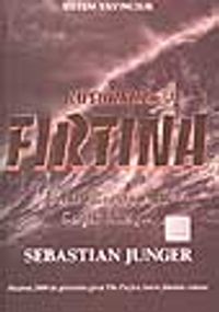Kusursuz Fırtına