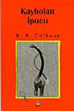 Kaybolan İpucu
