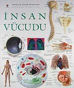 İnsan Vücudu