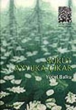 Sükut Ayyuka Çıkar