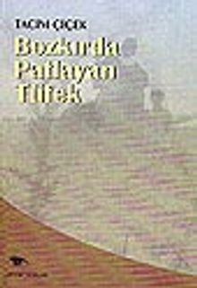 Bozkırda Patlayan Tüfek