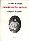 Cemaleddin Efgani/Siyasi Hayatı