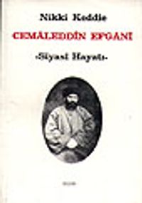 Cemaleddin Efgani/Siyasi Hayatı