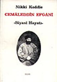 Cemaleddin Efgani/Siyasi Hayatı
