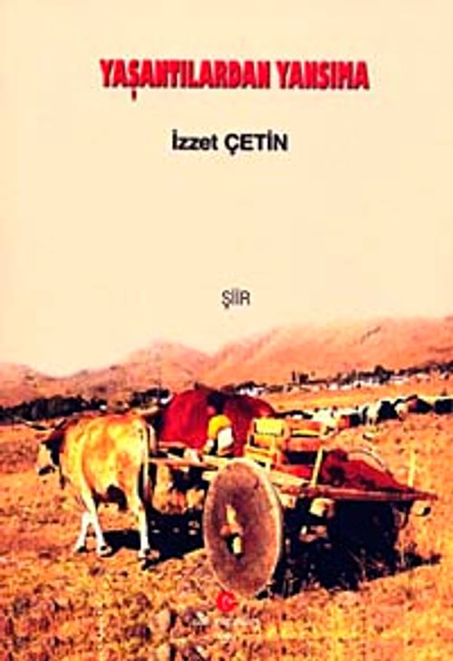Yaşantılardan Yansıma