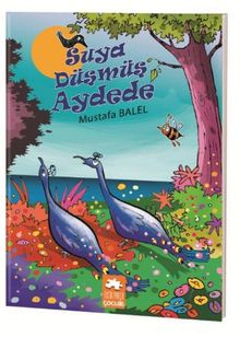 Suya Düşmüş Aydede