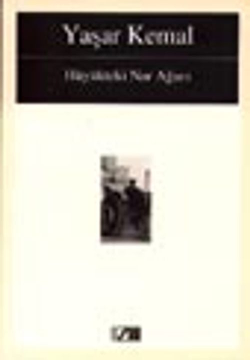 Hüyükteki Nar Ağacı