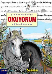 Şahlan / Çıkartmalarla Okuyorum Eğleniyorum