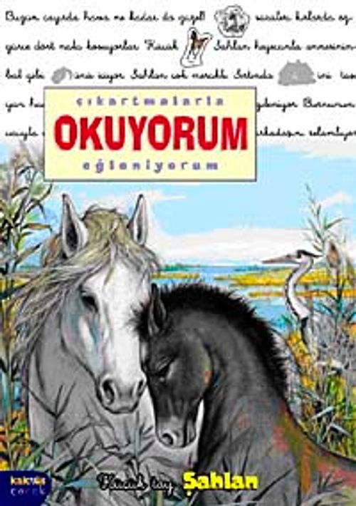 Şahlan / Çıkartmalarla Okuyorum Eğleniyorum