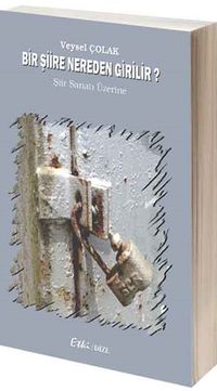 Bir Şiire Nereden Girilir? & Şiir Sanatı Üzerine Yazılar