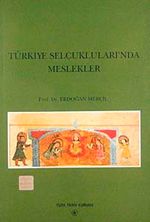 Türkiye Selçuklularında Meslekler