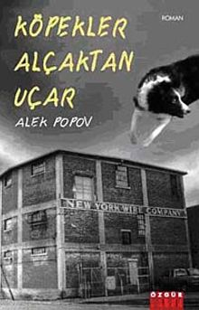 Köpekler Alçaktan Uçar