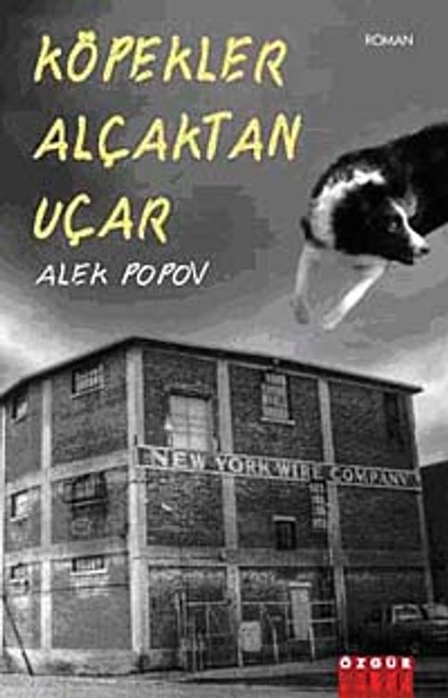 Köpekler Alçaktan Uçar