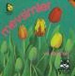 Mevsimler ve Renkleri