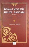 Divan-ı Mevlana Halidi Bağdadi (Tam Metin)