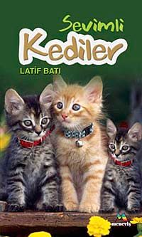 Sevimli Kediler