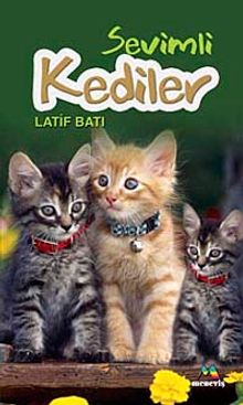 Sevimli Kediler
