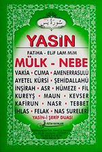 Yasin (Cep Boy)